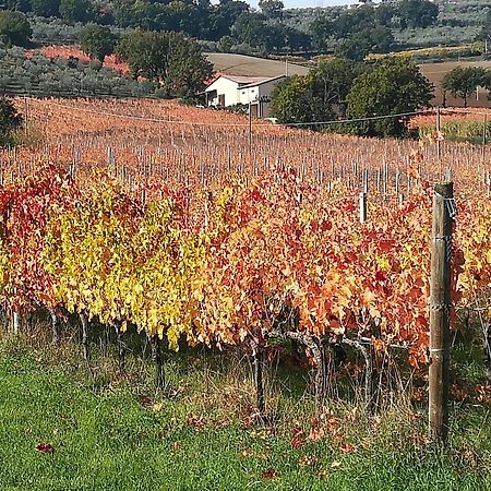 Antico Gioiello Umbro , Appartamento Con Terrazza Foligno Exterior foto